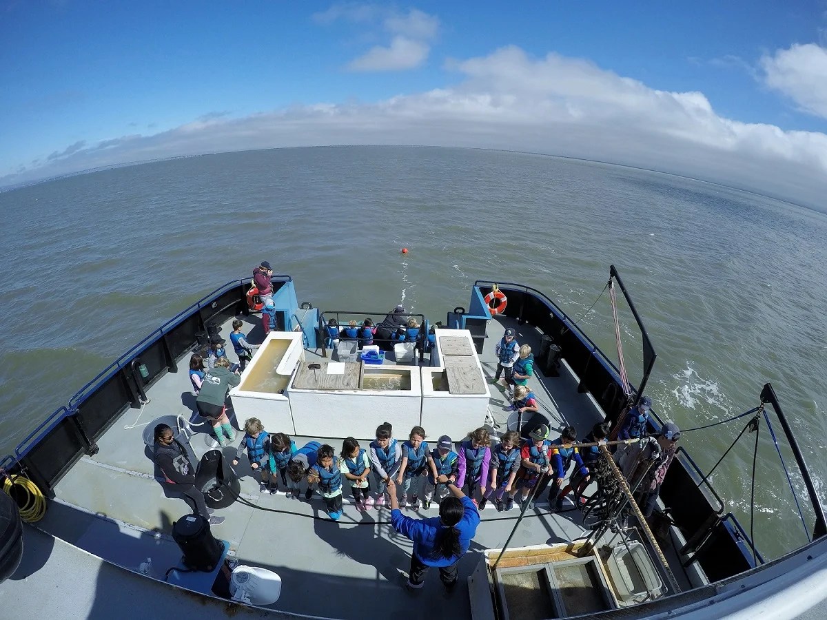 Marine Science Camp, Redwood City