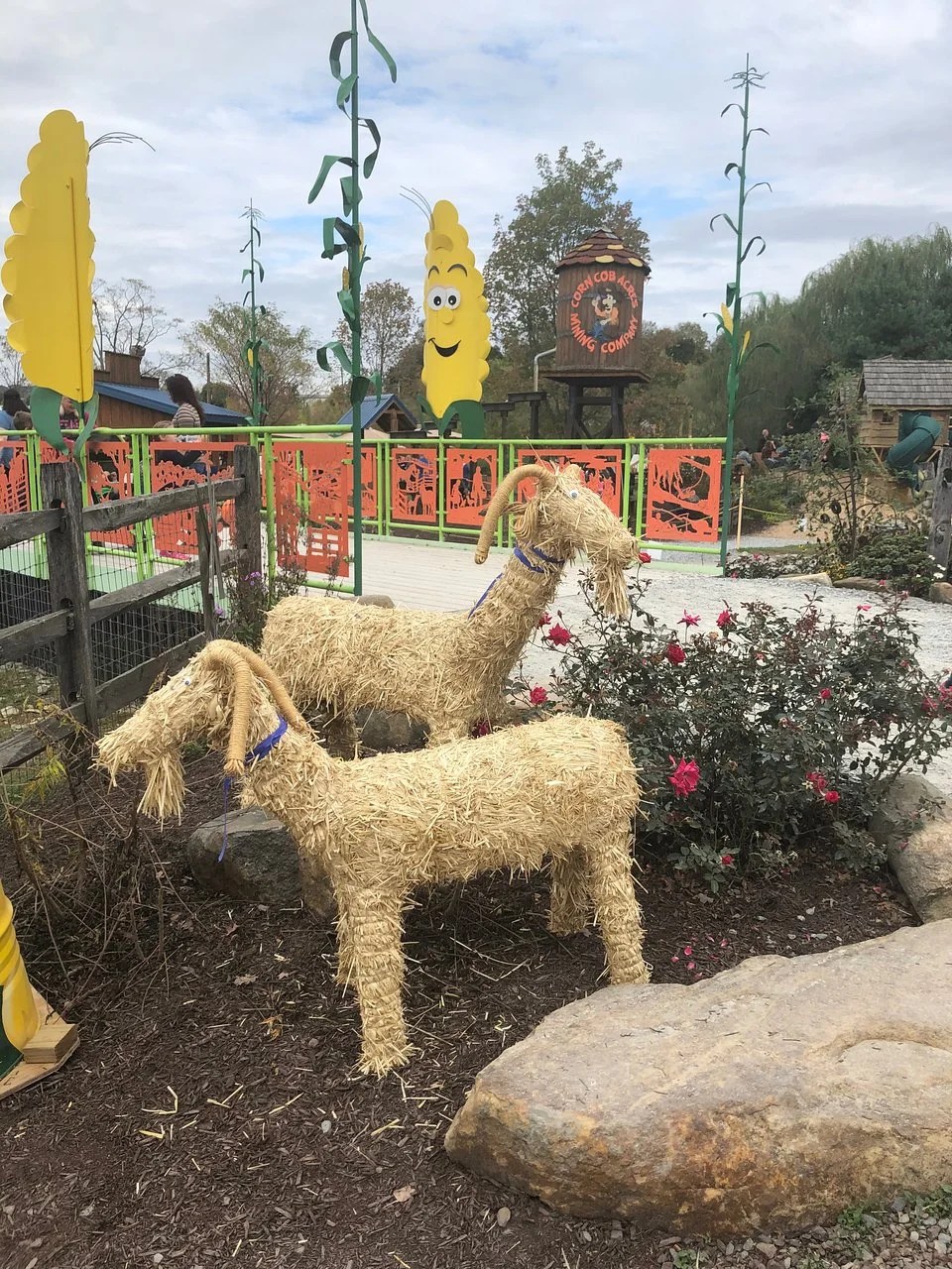 Corn Cob Junction, Regina