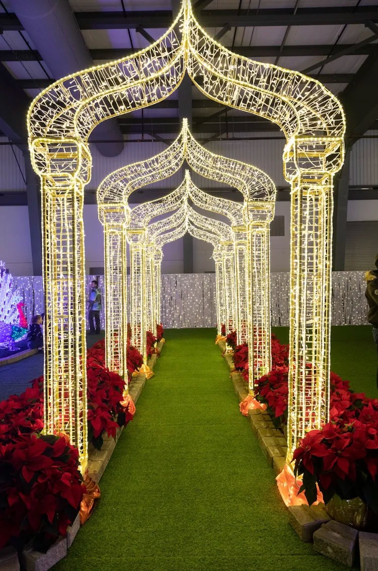 Glow Christmas YYC, Calgary