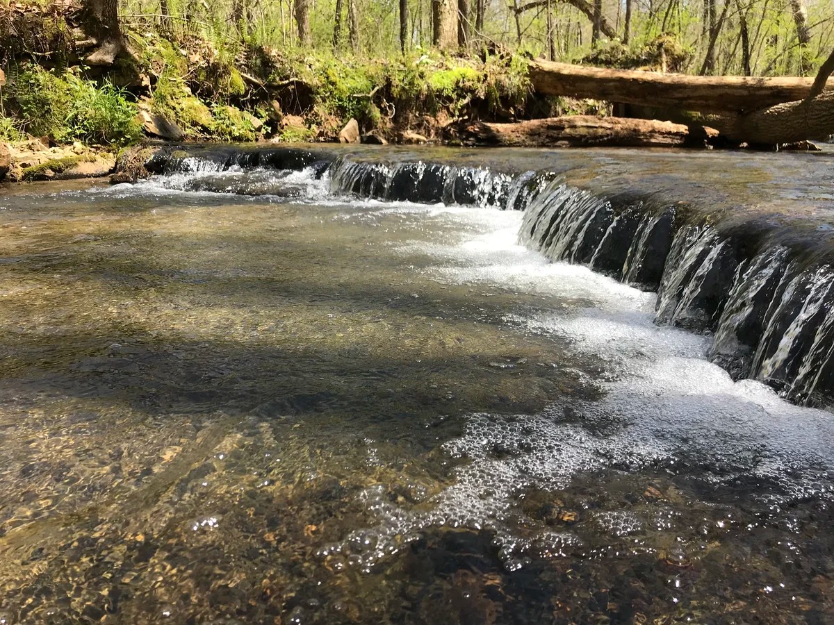 Bowie Nature Park, Franklin