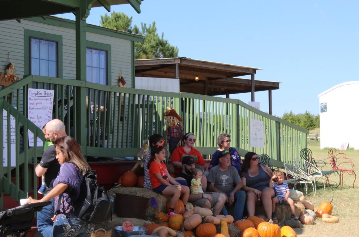 Elgin Christmas Tree Farm