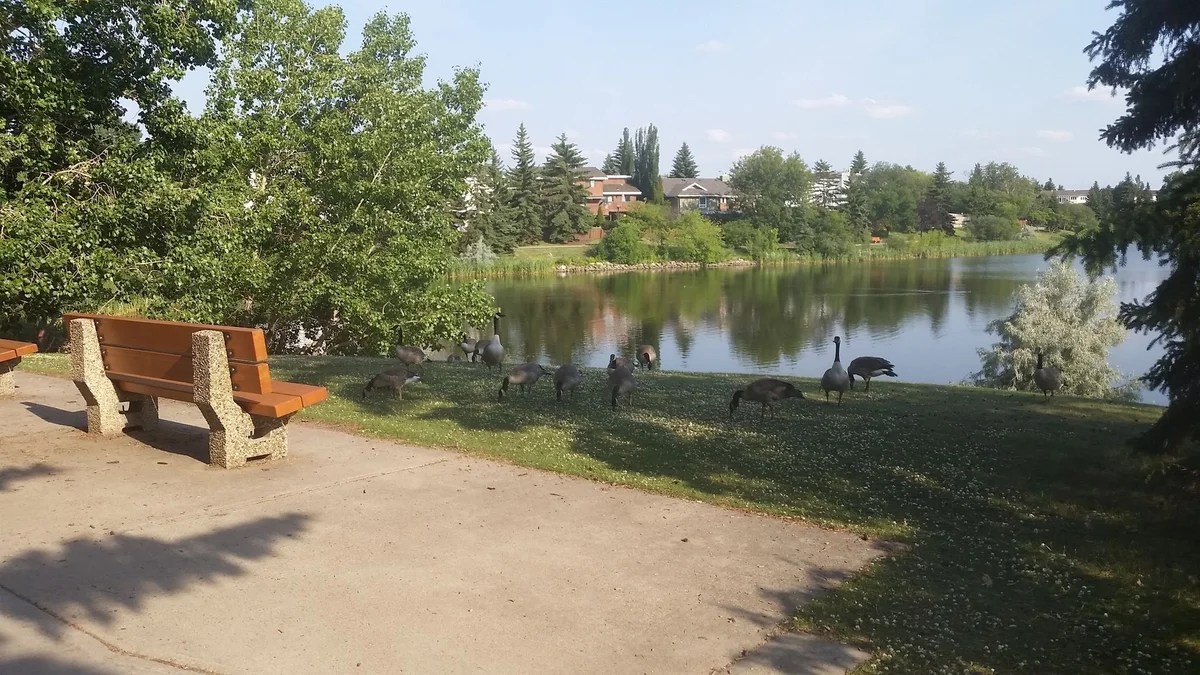 Beaumaris Lake, Edmonton