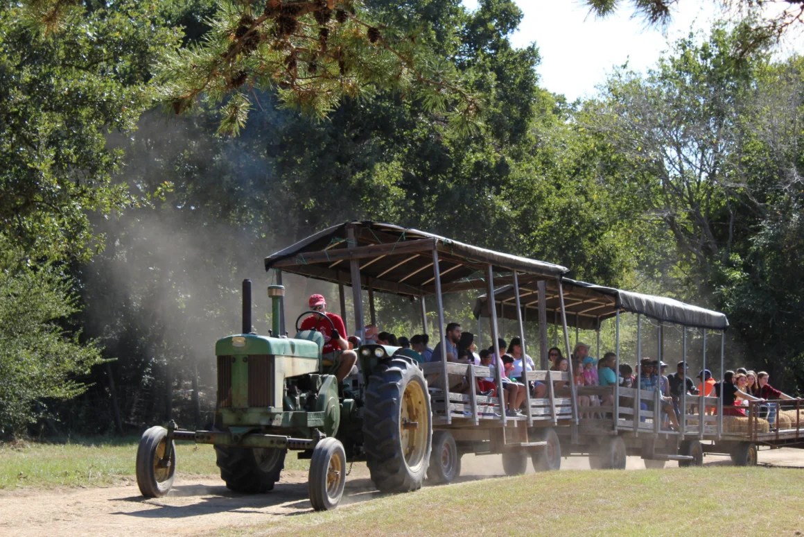 Elgin Christmas Tree Farm