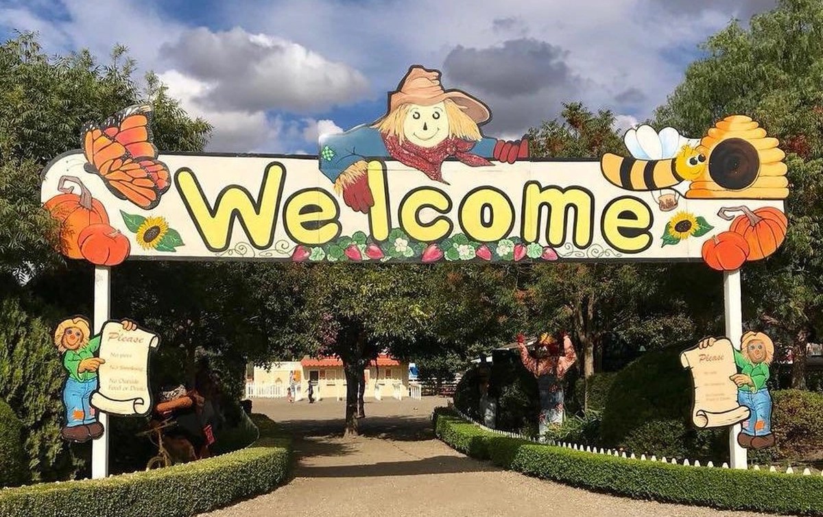 7 Best Pumpkin Patches Across the Bay Area