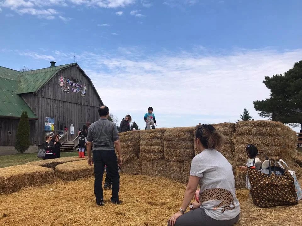 Brooks Farms, Mount Albert