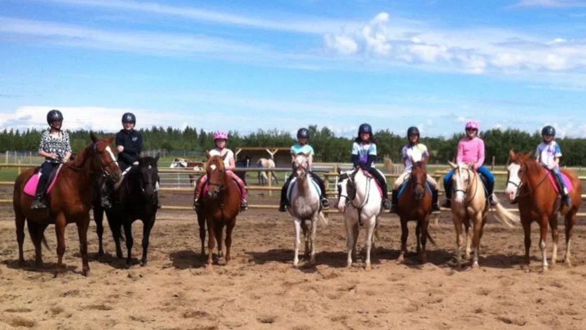 PaintsPlus Equine Center, Sherwood Park
