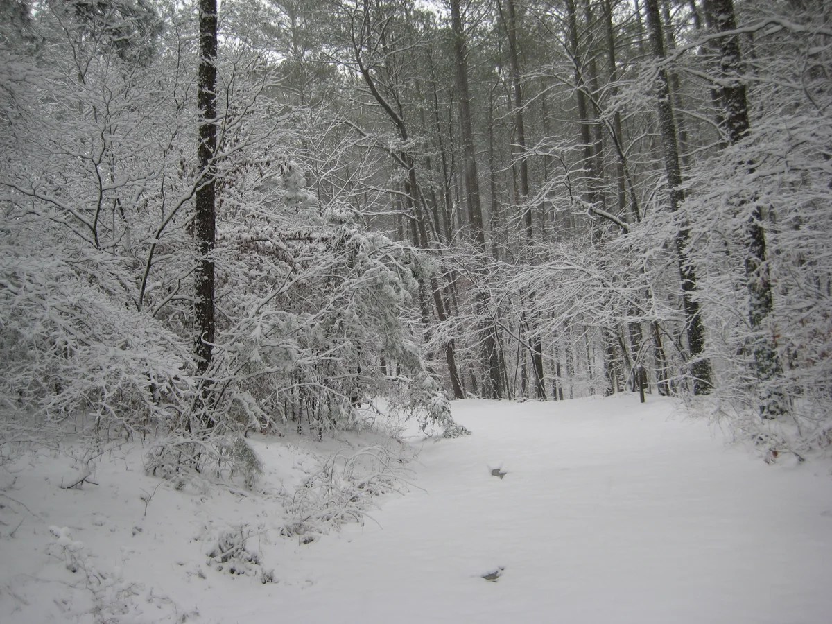 Bowie Nature Park, Franklin