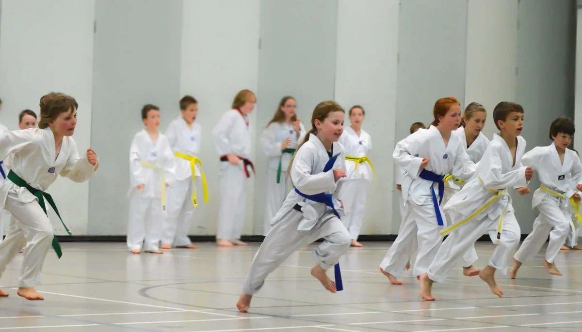 Mijo Martial Arts, Victoria