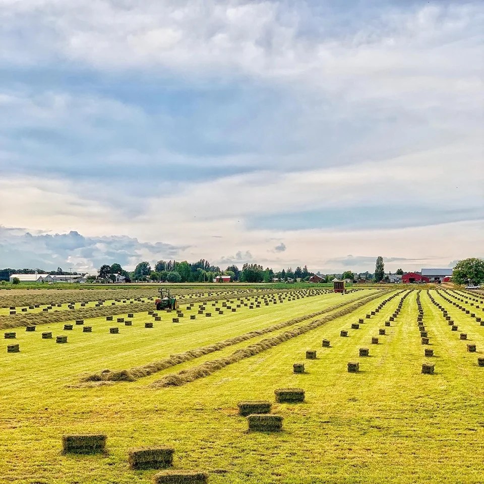 Westham Island Herb Farm, Delta