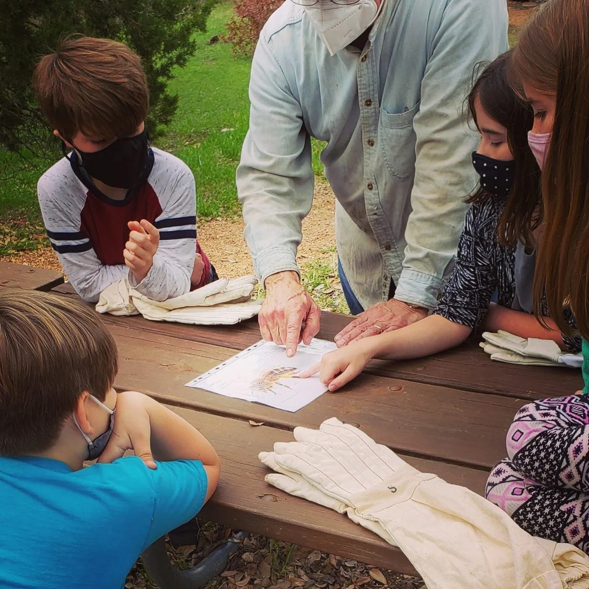 Austin Waldorf School