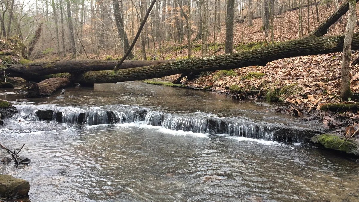 Bowie Nature Park, Franklin