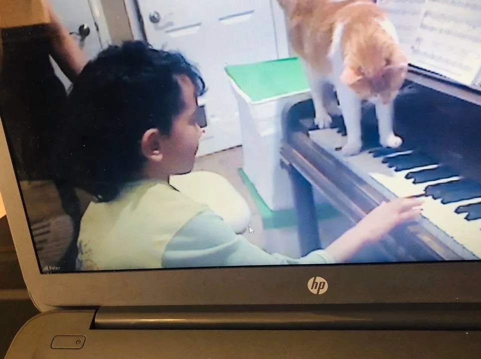 The Music Box, Victoria