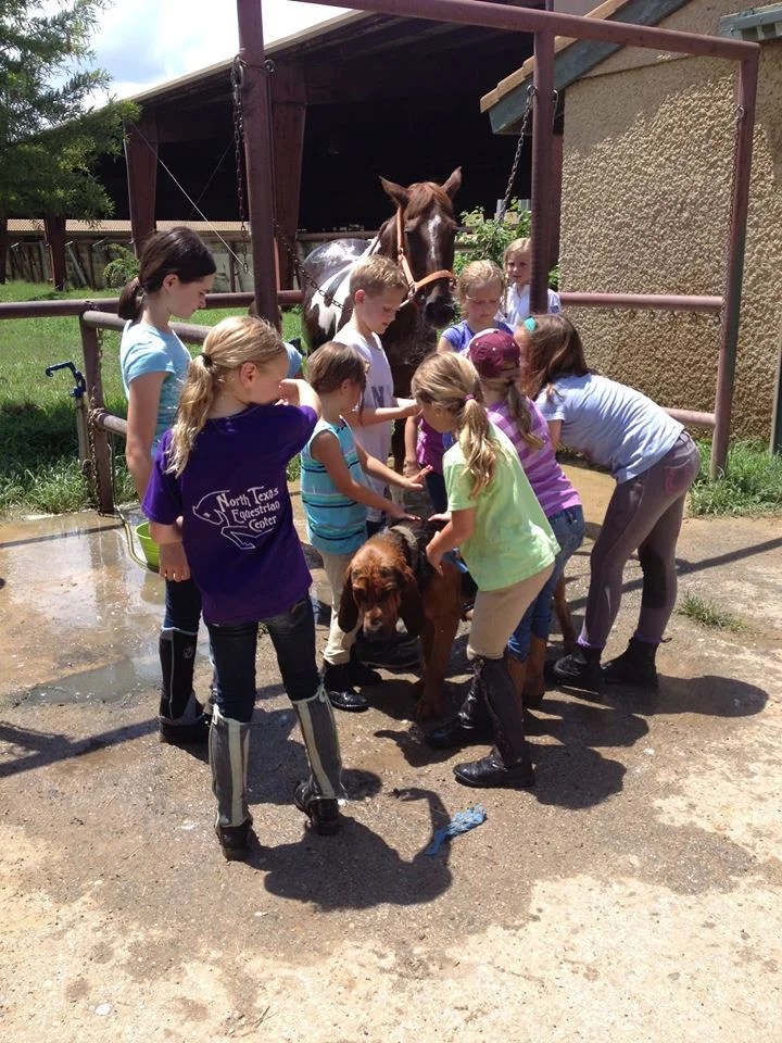 North Texas Equestrian Center, Dallas
