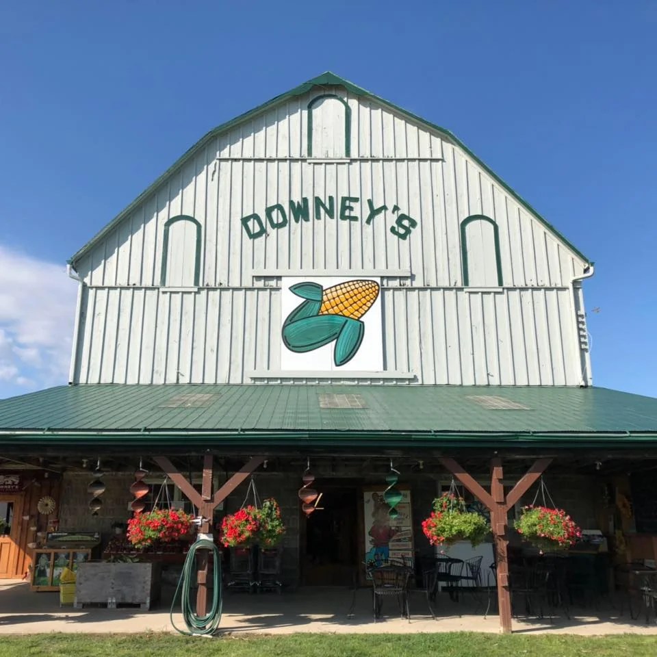 Downey's Farm, Caledon