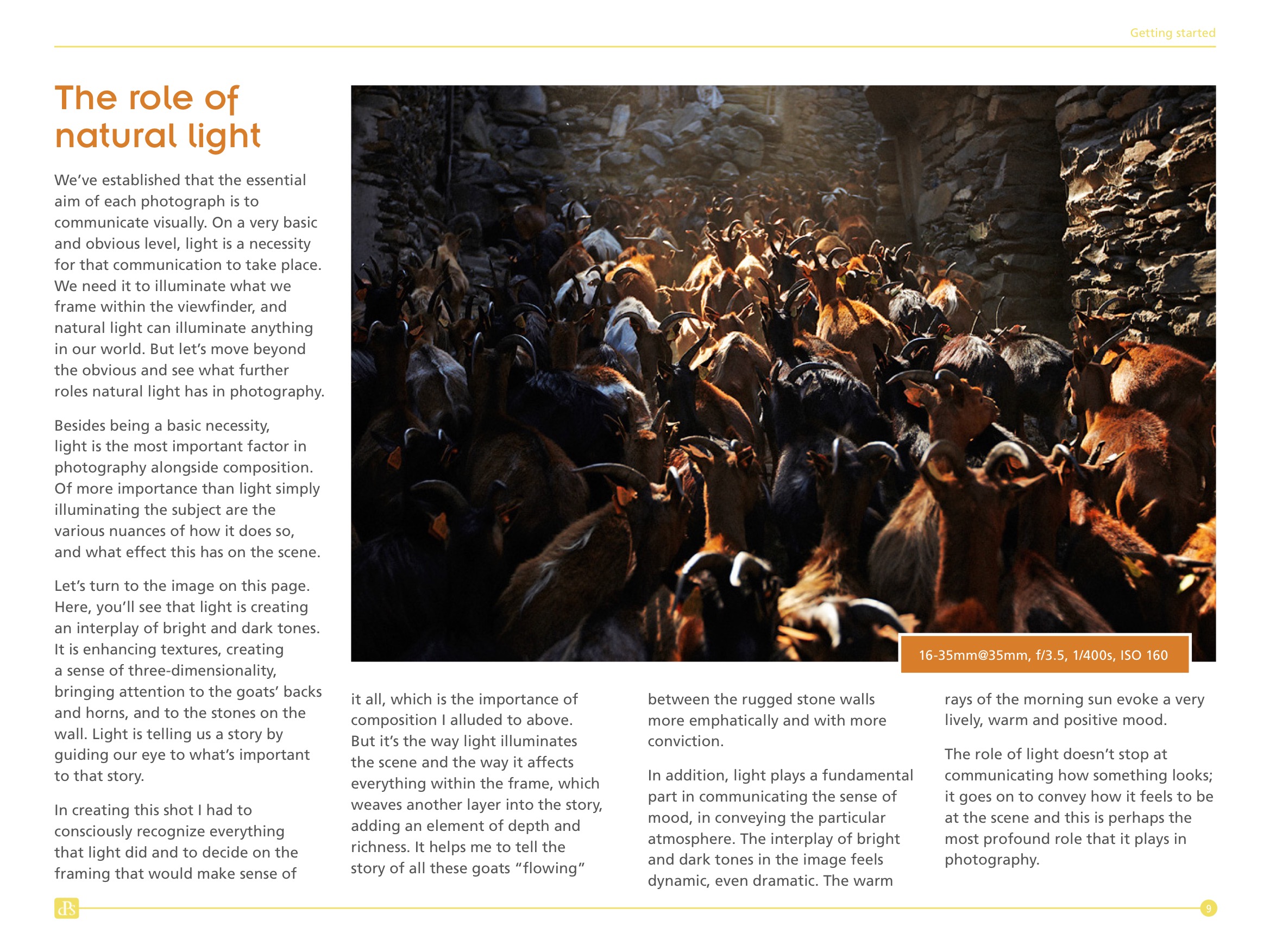 Natural Light Digital Photography School Resources