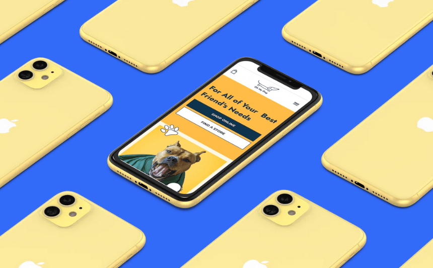 How to Create an Online Pet Store [Ultimate Guide]