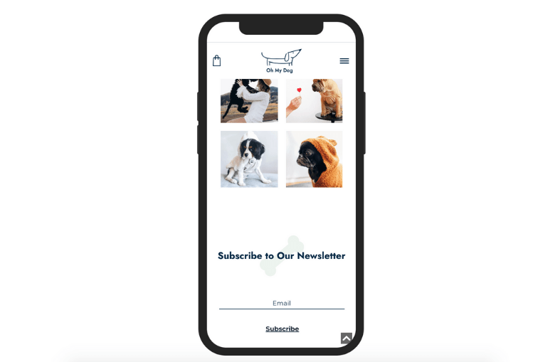 How to Create an Online Pet Store [Ultimate Guide]