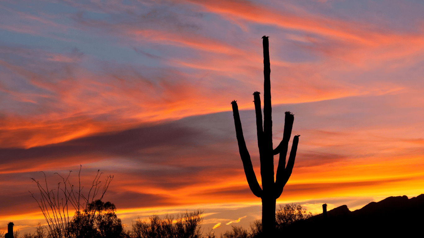 Arizona Eviction Laws 2024 Step by Step Process & Costs