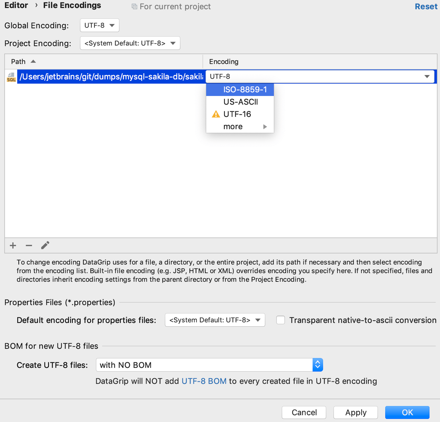 File encoding Help DataGrip