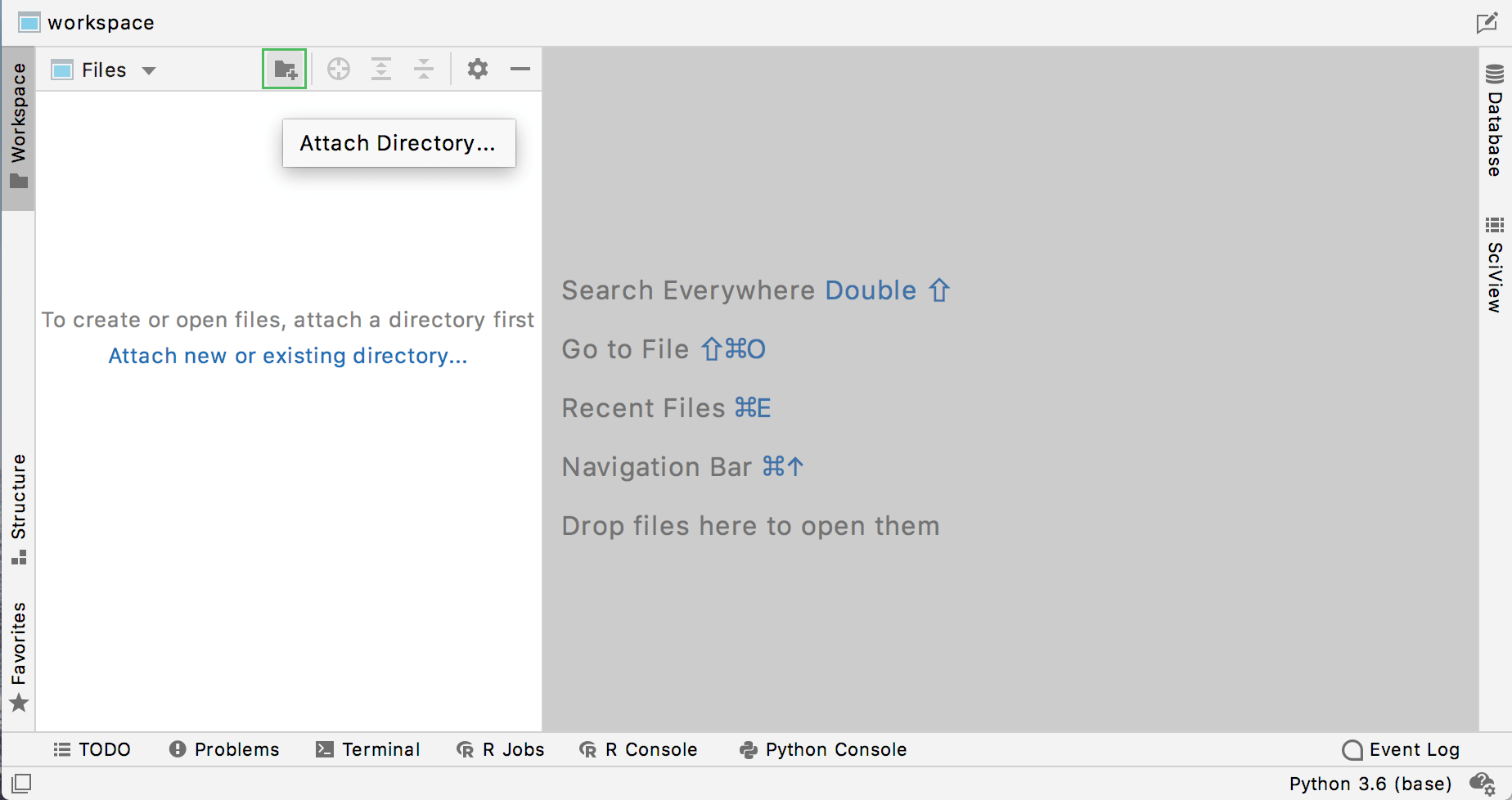Manage your workspace JetBrains DataSpell