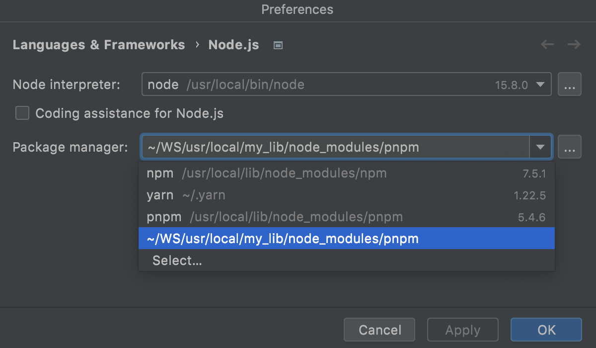npm、pnpm 和 Yarn_IntelliJ IDEA 中文网
