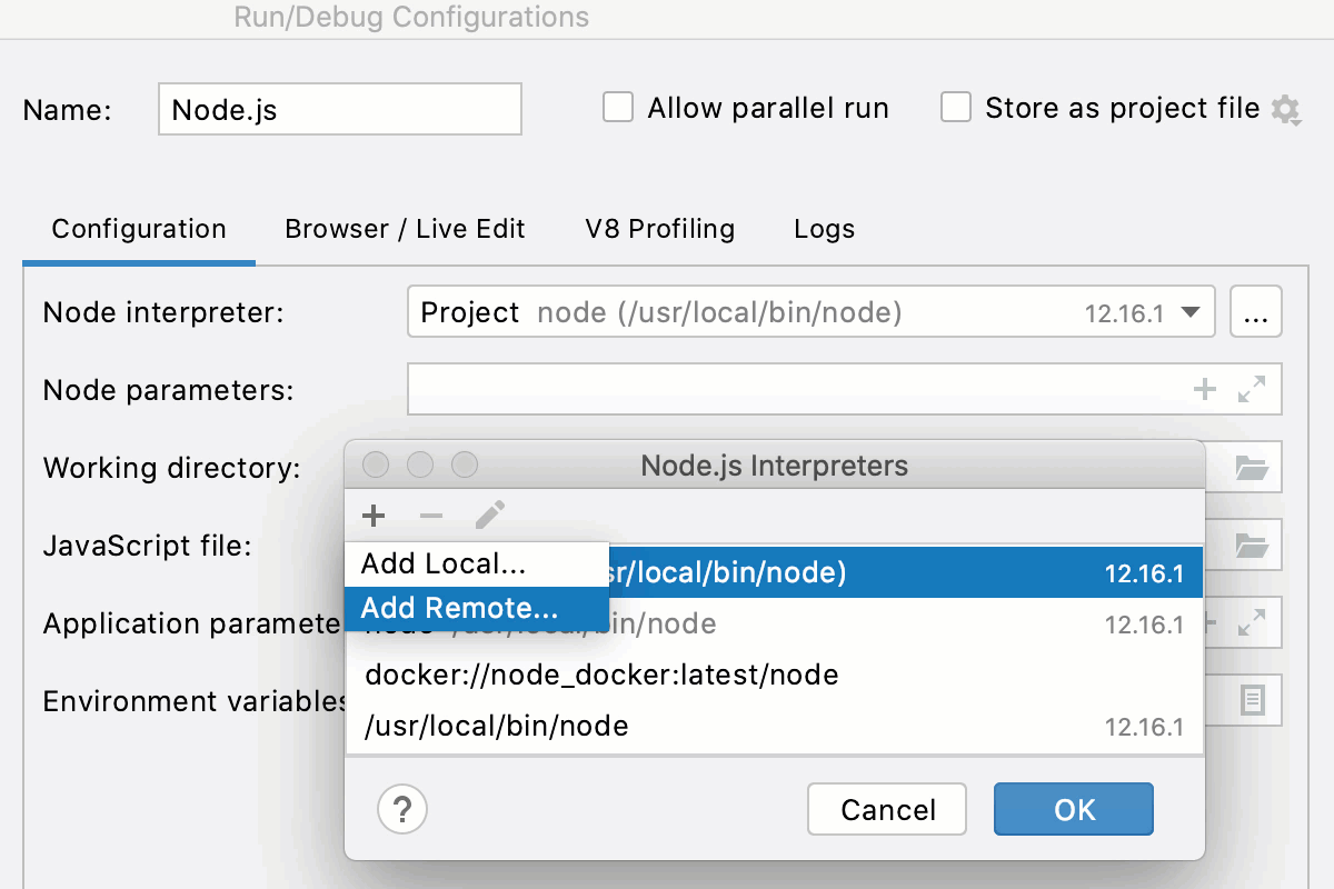Node.js Interpreters Dialog IntelliJ IDEA Documentation