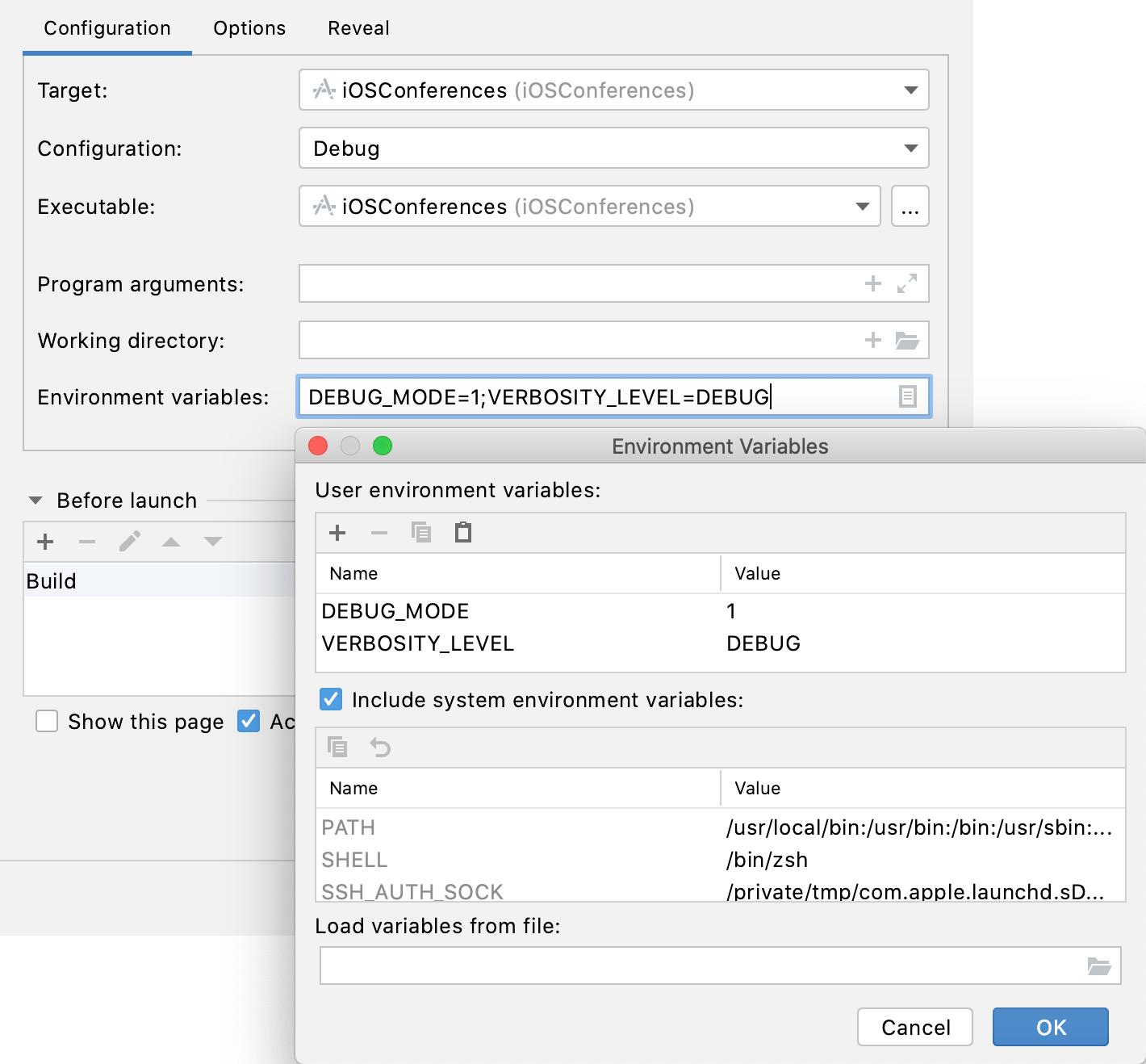 Environment variables and program arguments AppCode Documentation