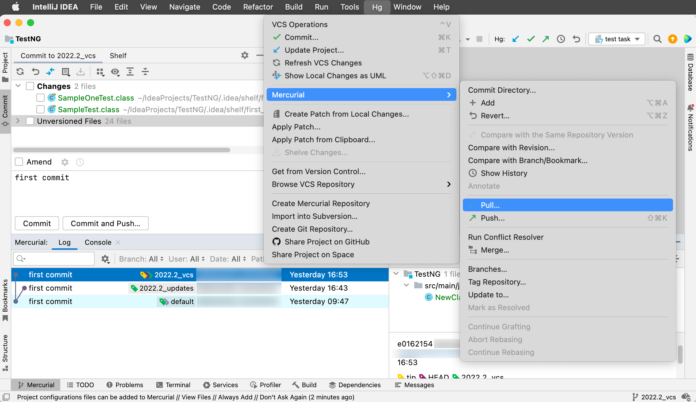 Mercurial IntelliJ IDEA Documentation