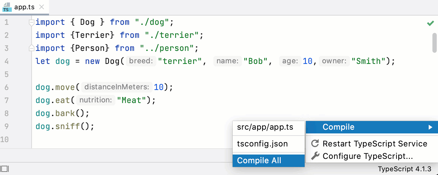Compiling TypeScript into JavaScript Storm Documentation