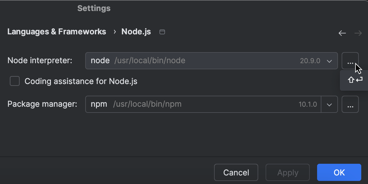 Configuring remote Node.js interpreters Storm Documentation