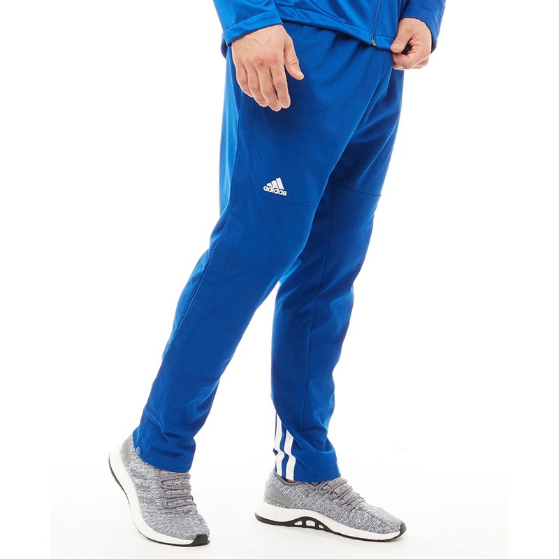 Buy adidas Mens Ekit Snap Basketball Pants Collegiate Royal/White