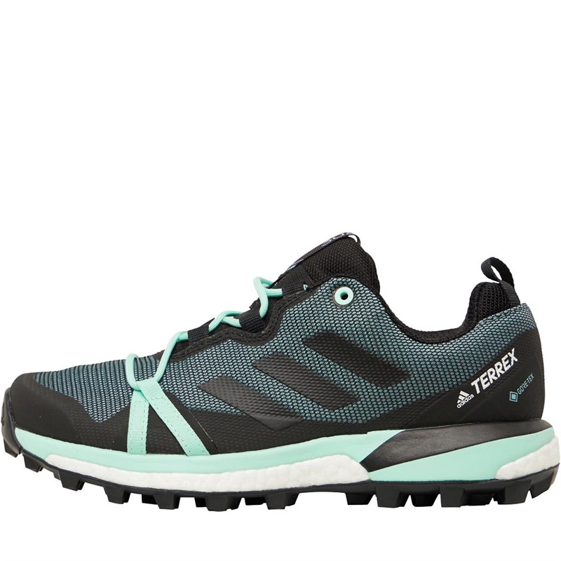 Buy adidas Womens Terrex Skychaser Lightweight GoreTex Boost Hiking