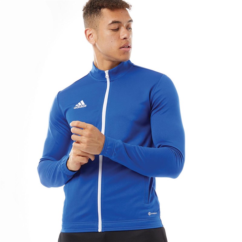 Buy adidas Mens Entrada 22 Poly Training Jacket Team Royal Blue