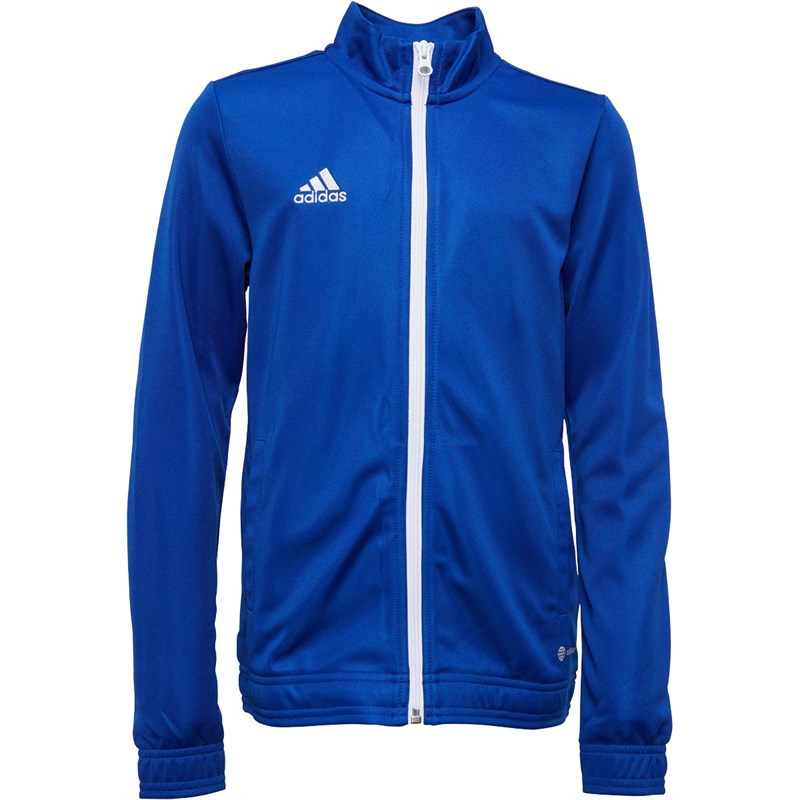Buy adidas Junior Entrada 22 Poly Training Jacket Team Royal Blue