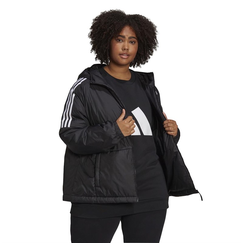 Buy adidas Womens Essentials Insulated Hooded Jacket (Plus Size) Black