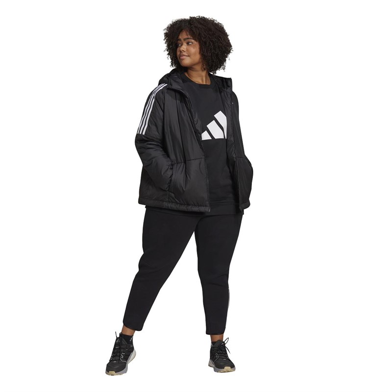 Buy adidas Womens Essentials Insulated Hooded Jacket (Plus Size) Black