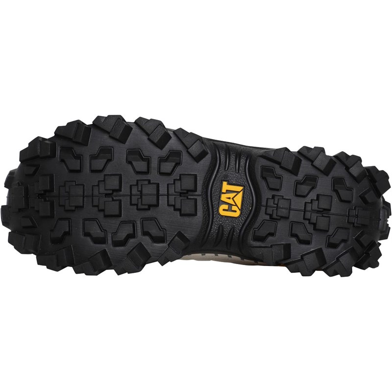Buy Caterpillar Mens Intruder Shoes Star White