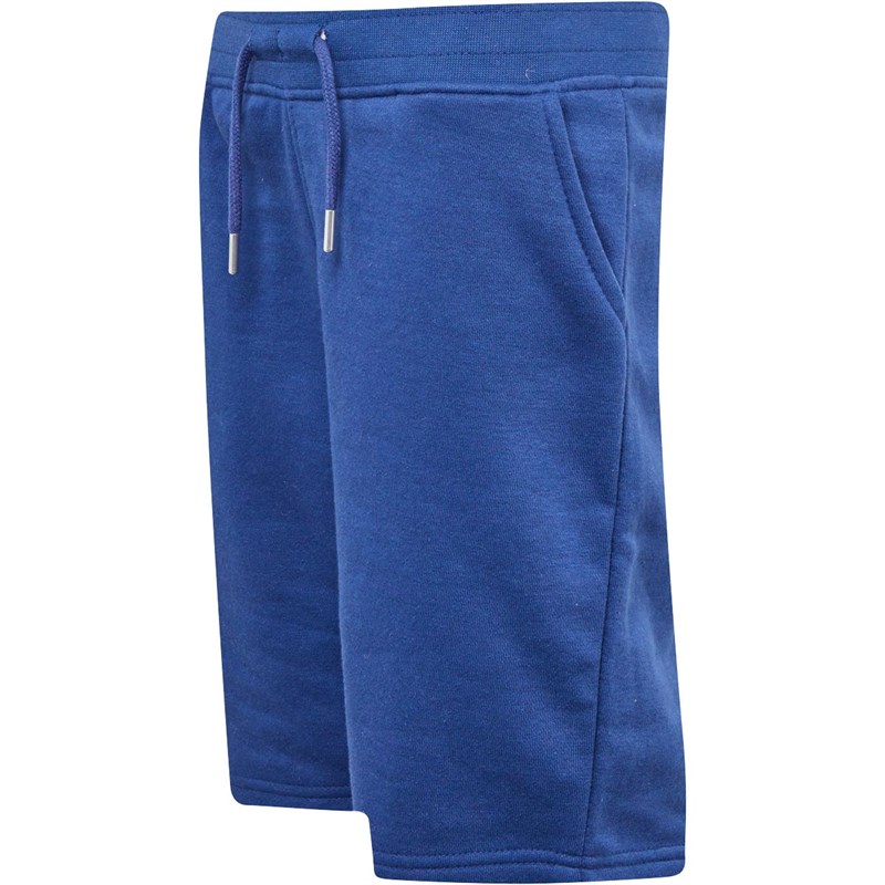 Buy Fluid Junior Cotton/recycled Polyester Fleece Shorts Royal
