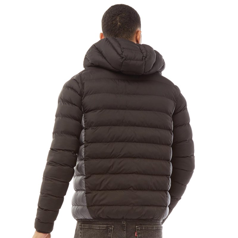 Buy Kings Will Dream Mens Abor Padded Jacket Black