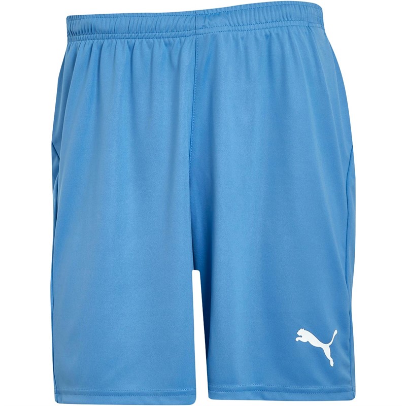 Buy Puma Mens Liga Core Shorts Silver Lake Blue/Puma White