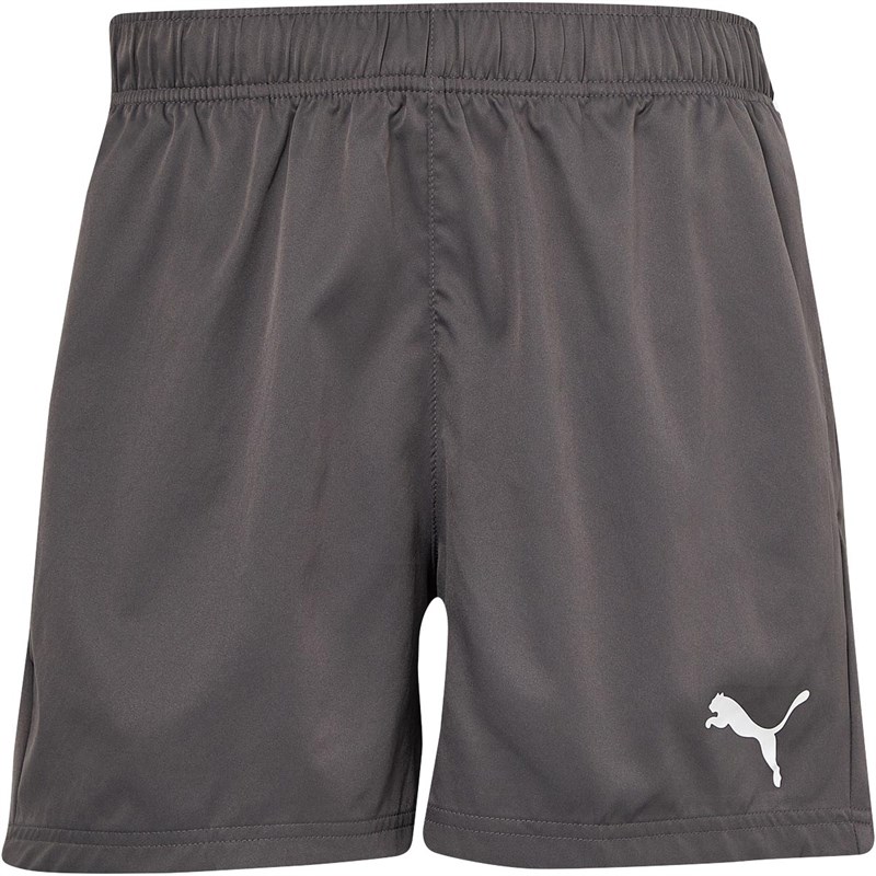 Buy Puma Mens Woven Shorts Grey Heather/Puma White