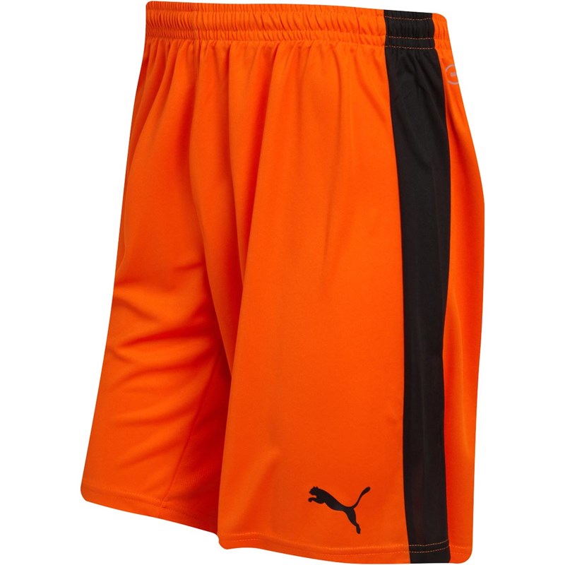 Buy Puma Mens Pitch Football Shorts Orange/Black
