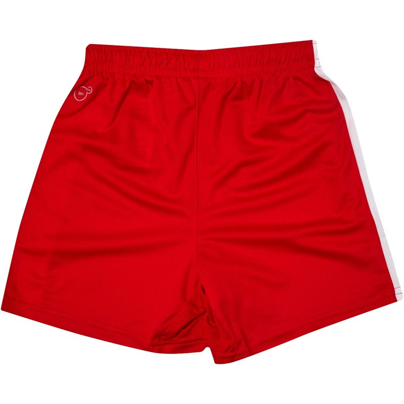 Buy Puma Junior Boys Pitch Football Shorts Red/White