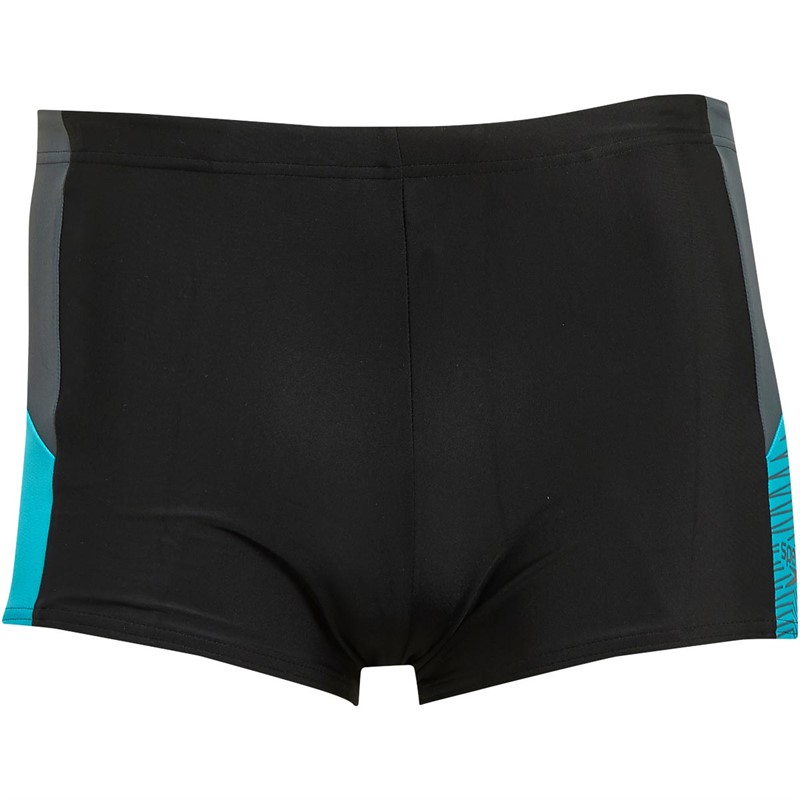 Buy Speedo Mens Dive Aqua Shorts Black/Grey