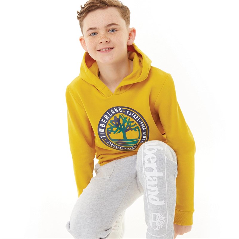 Buy Timberland Boys Hoodie Yellow
