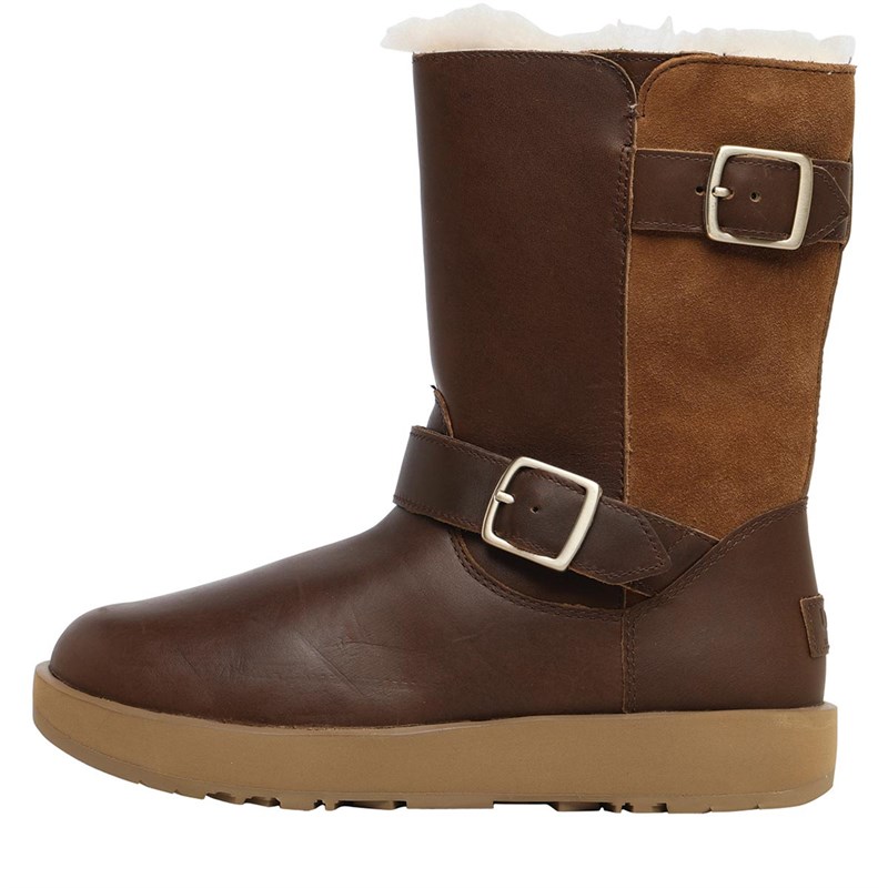 Buy UGG Womens Breida Waterproof Classic Boots Chestnut