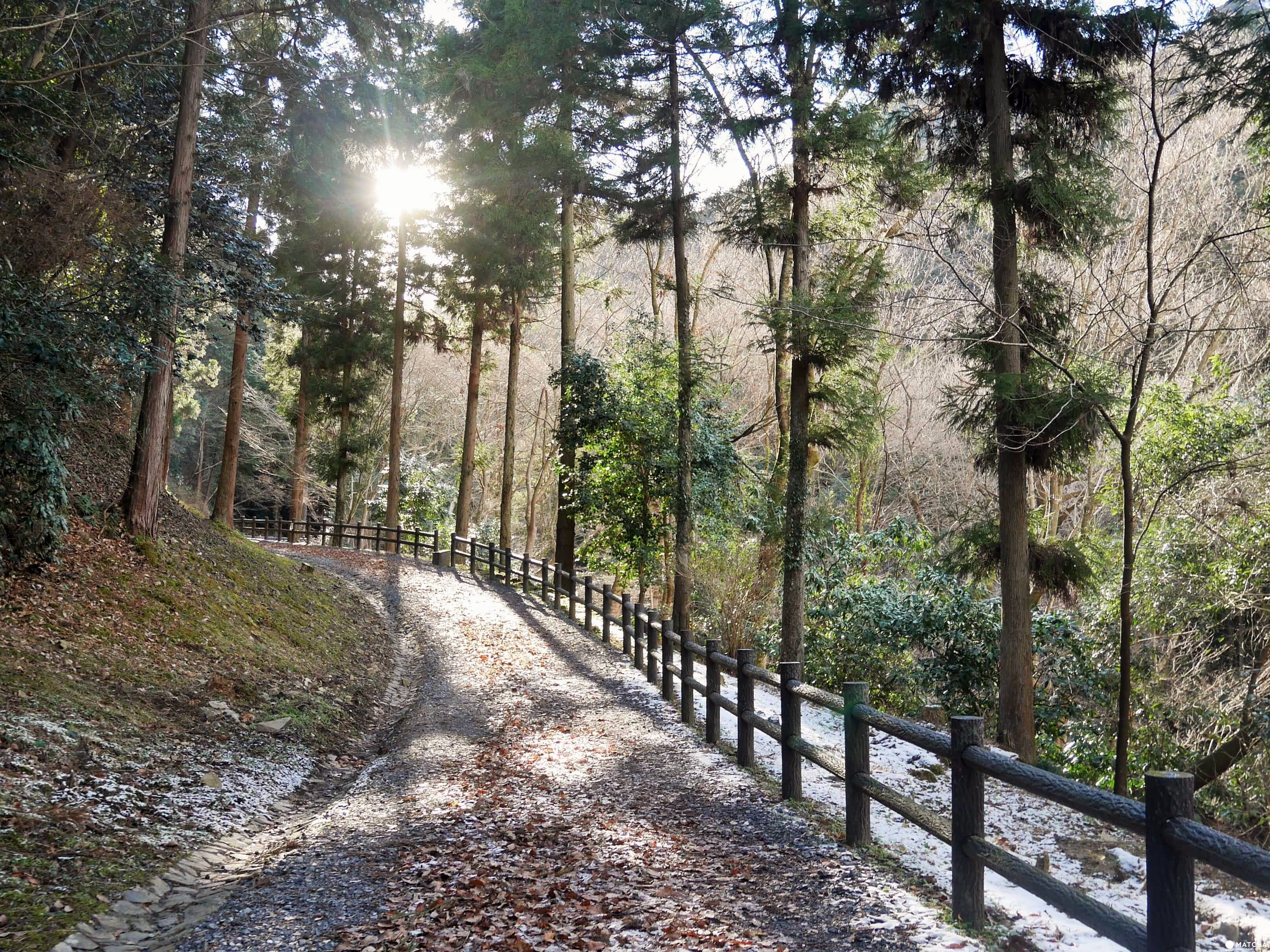 【東京高尾】日本100名城，見證戰國悲歡離合的「八王子城」 FunTime旅遊比價