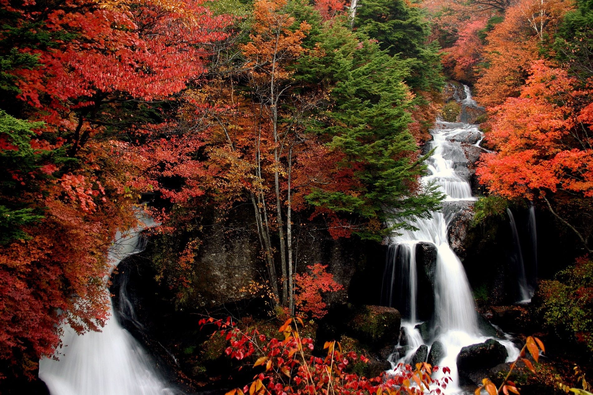 Visit Nikko In The Fall! An Autumn Day Trip From Tokyo MATCHA JAPAN