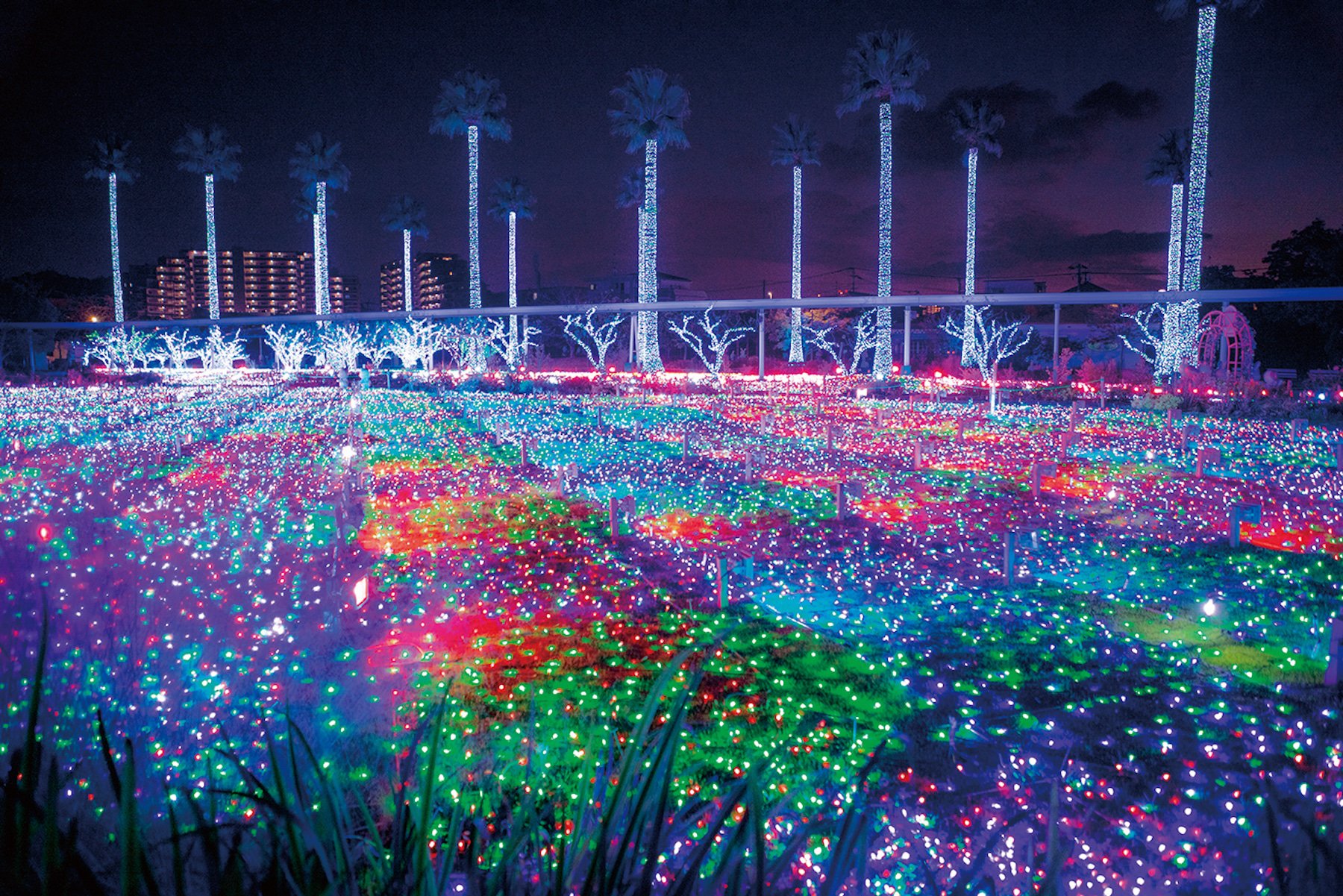 福岡で家族旅行なら！忘れられない経験ができるレジャー施設3選 Explore Fukuoka and Beyond! MATCHA