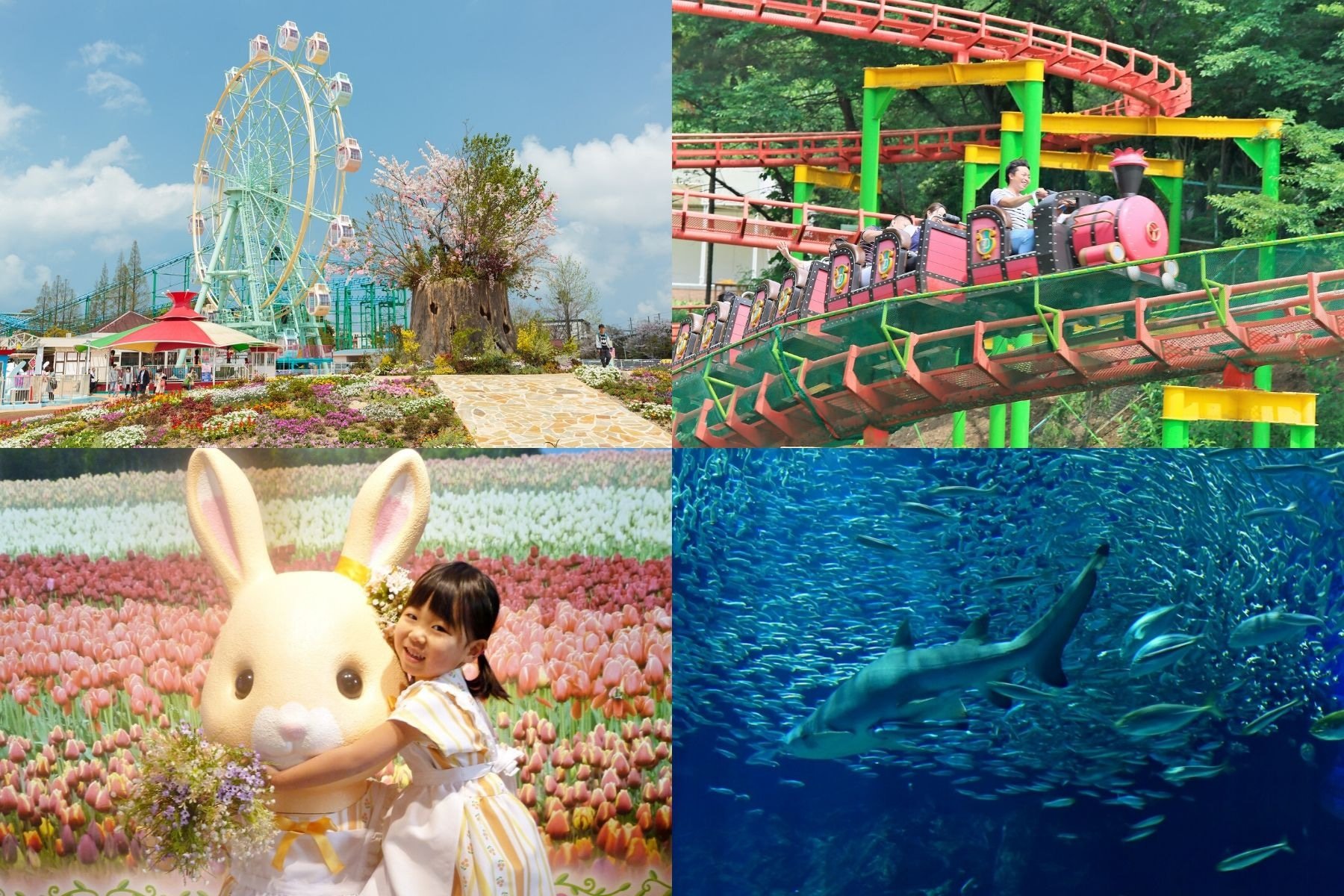 3 FamilyFriendly Amusement Facilities In Fukuoka LaptrinhX / News